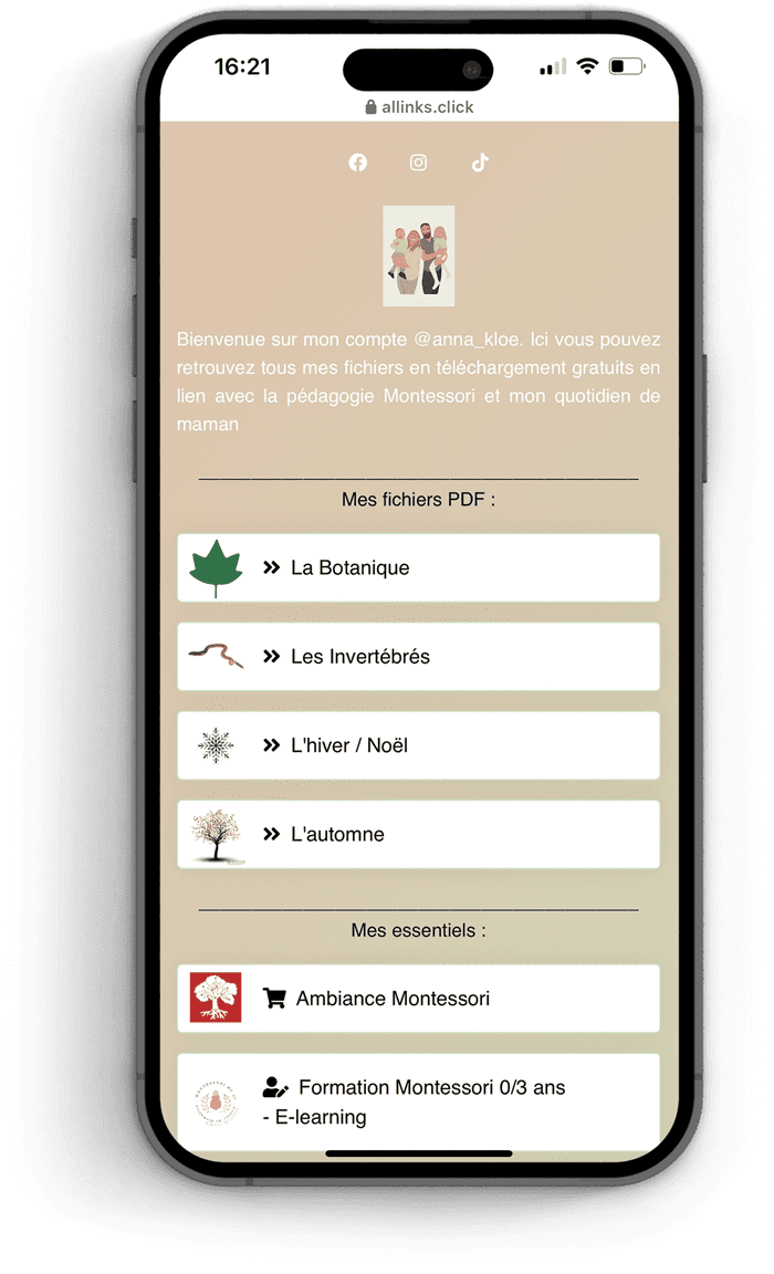 Lien en bio avec Allinks