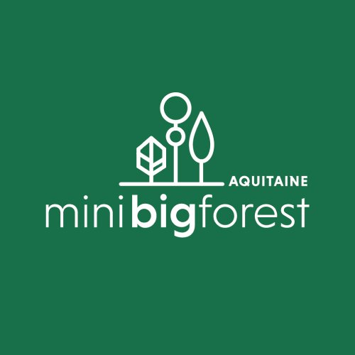 Logo Mini Big Forest Aquitaine